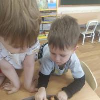IMG_20240311_094200