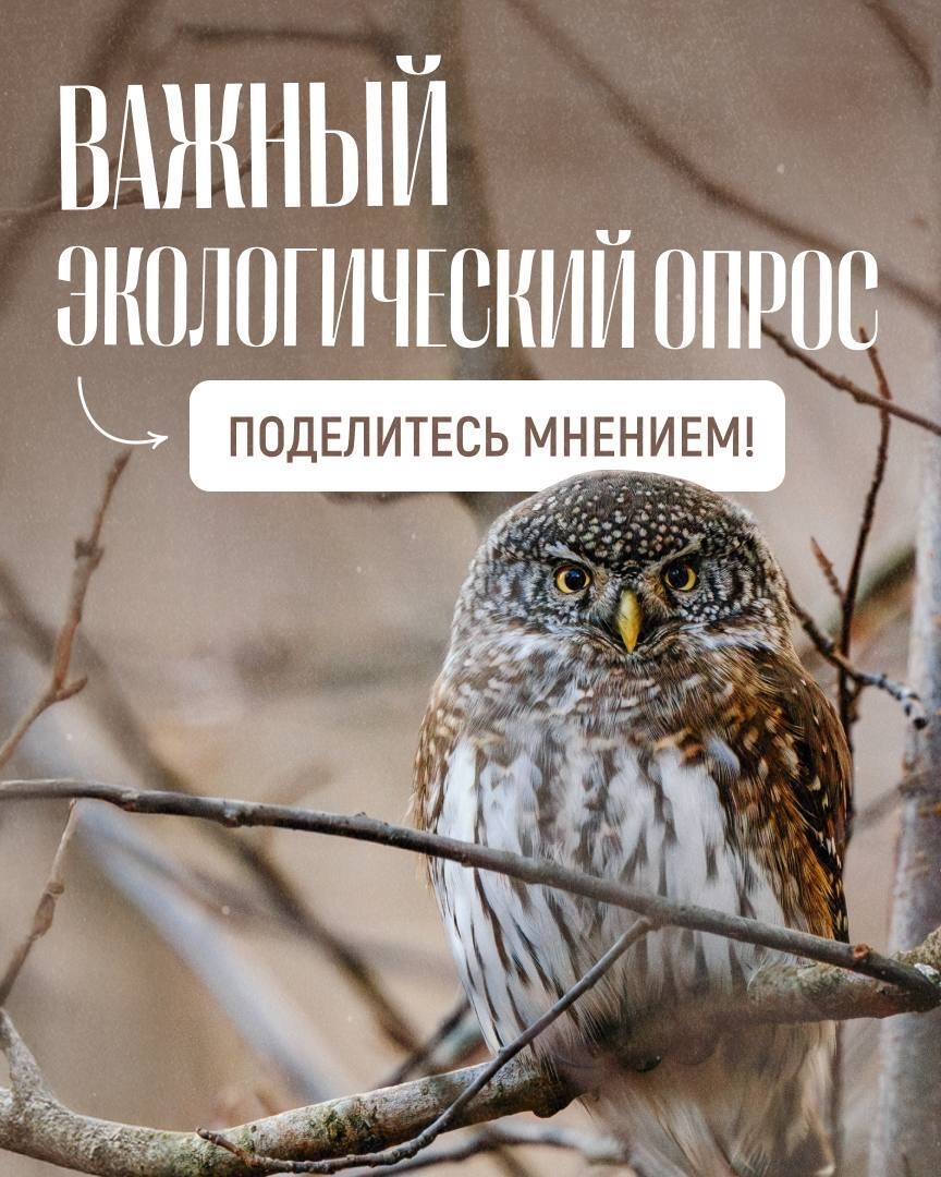 nqdzC6GaXtad9cQuvhuKzuQho70Y7zlgyV1j2B4FuBabBPhX Y3HXkNKhib2j092stjYCiyx1J77Ywl3v9aOU5bl